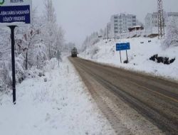 Ordu'da 374 Mahalle Yolu Ulaşıma Kapandı