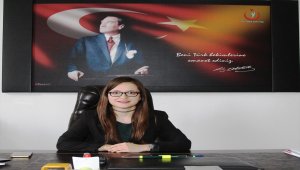 Taşova'da kene uyarısı