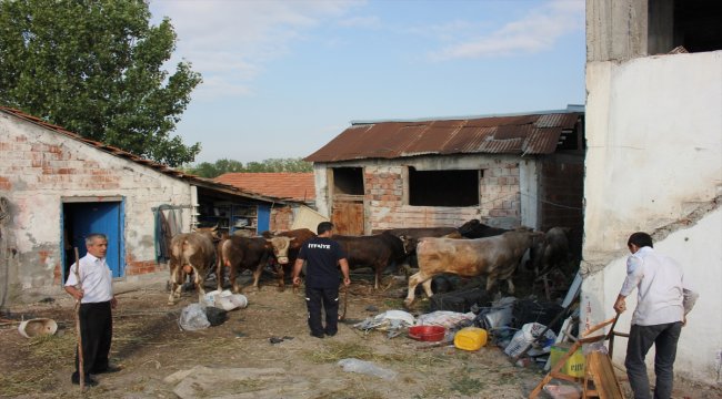 Amasya'da devrilen tırın şoförü yaralandı