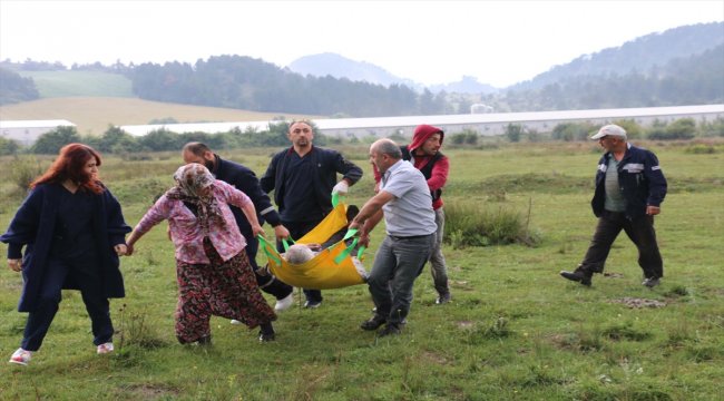 Bolu'da yıldırım düştü: 1 ölü