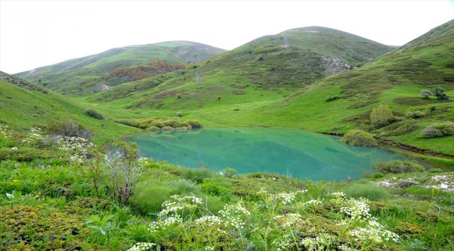 Kop Dağı'ndaki heyelan gölü turizme kazandırılacak