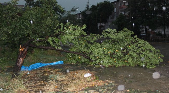 Tokat'ta kuvvetli yağış ve fırtına