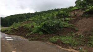 Ordu'da heyelandan kapanan yollar ulaşıma açıldı