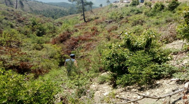 Ecrin Kurnaz'a ait olduğu düşünülen kemik parçalarının bulunması