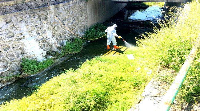 Ereğli Belediyesi'nden ilaçlama çalışması