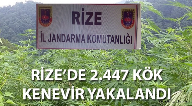 Rize'de Hint keneviri operasyonu