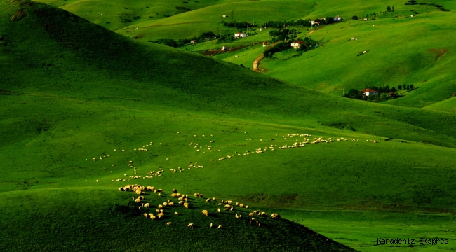 Tarım gelecek vadediyor kimse köyünü terk etmesin!