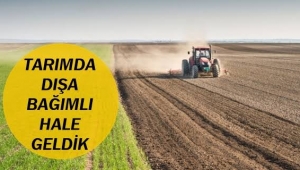 TARIMDA DIŞA BAĞIMLI HALE GELDİK!...