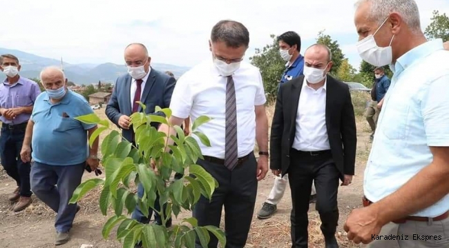 TOKAT VALİSİ NİKSAR'DA İNCELEMELERDE BULUNDU 