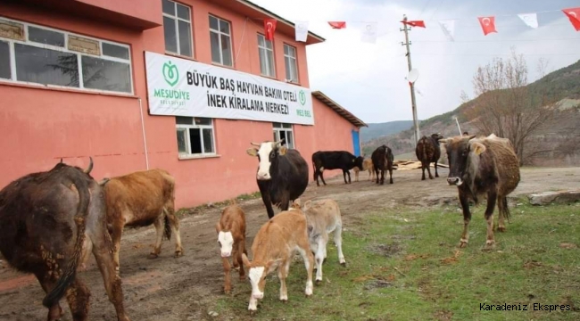 ORDU’DA HAYVANCILIK ARTIK DAHA KOLAY