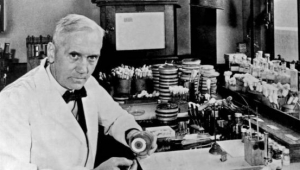 Penisilini bulan Sir Alexander Fleming'in hikayesi