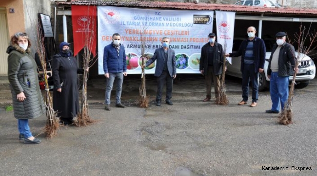 Gümüşhane’de üreticilere 4 bin adet yerli meyve fidanı dağıtıldı