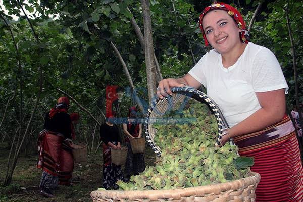 FINDIKÇILIK ZOR İŞ