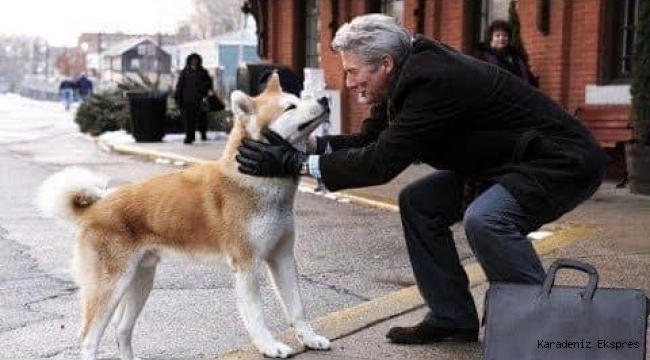 Hachiko'nun hikayesini biliyor musunuz?