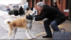 Hachiko'nun hikayesini biliyor musunuz?