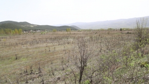 TOKAT NİKSAR'A JEOTERMAL TEKNOLOJİK SERA KURULUYOR 