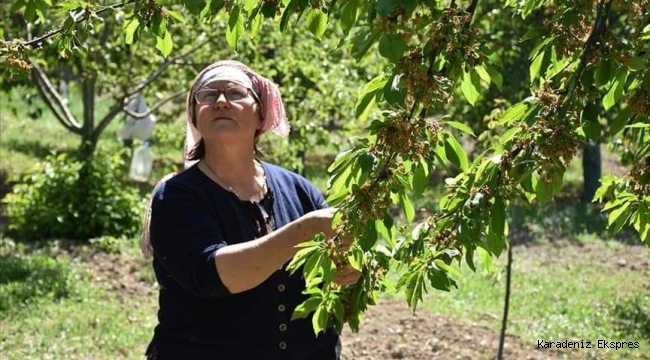 AĞAÇ KİRALAYAN DOĞA VE OKUMA SEVDALISI BİR HANIMEFENDİ 