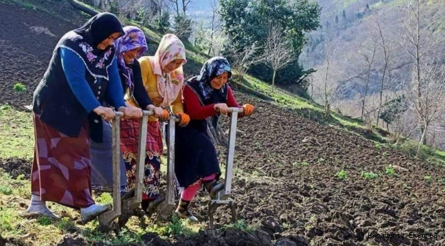 DİKKAT !!...TARIMSAL AÇIDAN ÖNEMLİ!