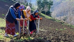 DİKKAT !!...TARIMSAL AÇIDAN ÖNEMLİ!