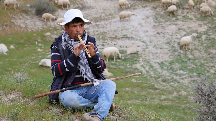 “SEN AĞA BEN AĞA İNEKLERİ KİM SAĞA”