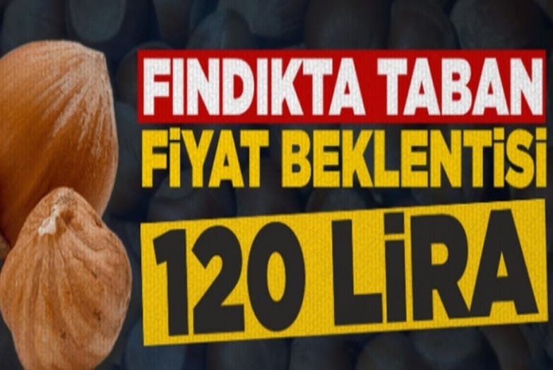 Fındıkta taban fiyat beklentisi 120 lira