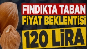 Fındıkta taban fiyat beklentisi 120 lira