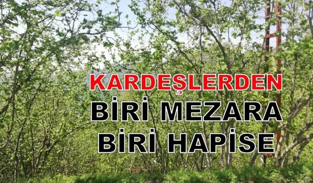 FINDIK BAHÇESİ YÜZÜNDEN KARDEŞ KATİLİ OLDU