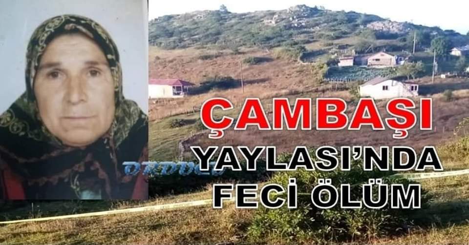 ORDU'DA BOĞANIN SALDIRDIĞI YAŞLI KADIN HAYATINI KAYBETTİ