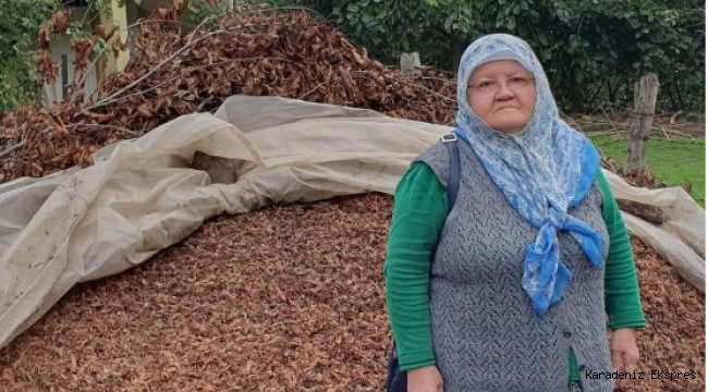 Akdoğan, Toprak Mahsulleri Ofisi'ne Ağustos ayında teslim ettiği bir ton 58 kg fındığını geri istedi