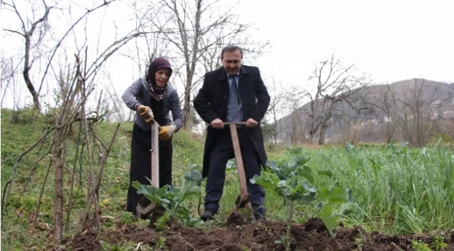 34 yıl akademisyenlik yaptı... Mahalle mahalle gezip tarla belliyor, inek sağıyor 'Takım elbisemi ancak geceleri çıkartacağım'