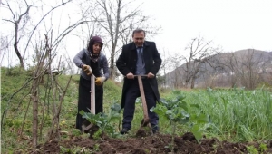 34 yıl akademisyenlik yaptı... Mahalle mahalle gezip tarla belliyor, inek sağıyor 'Takım elbisemi ancak geceleri çıkartacağım'