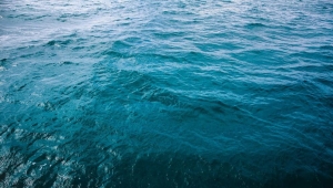 Deniz Suyunun Faydaları
