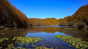 Ulugöl Tabiat Parkı - Ordu 