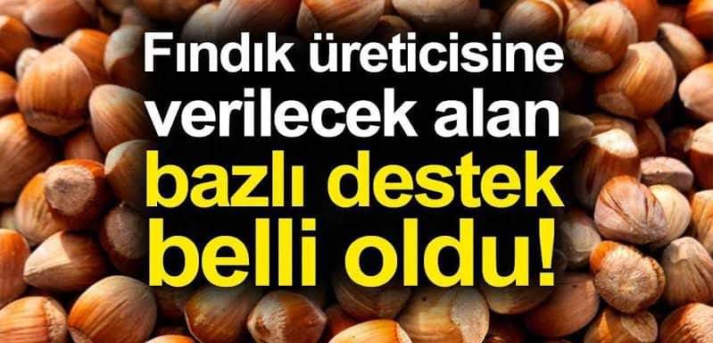 Bütün girdi maliyetleri birkaç kat arttı ama fındık destekleme ödemeleri 10 yıldır artmıyor!