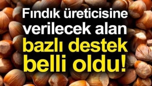 Bütün girdi  maliyetleri birkaç kat arttı ama fındık destekleme ödemeleri 10 yıldır artmıyor!