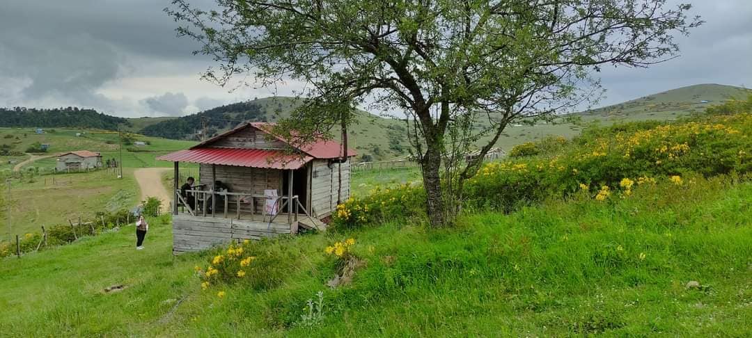 DAMIZLIK VE YEM SORUNU ÇÖZÜLMEDEN, ET VE SÜT SORUNU ÇÖZÜLEMEZ