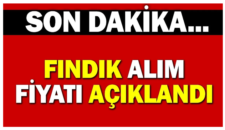 TMO, 2024/2025 dönemi için fındık alım fiyatını belirledi...