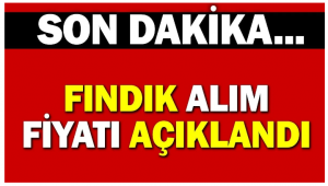 TMO, 2024/2025 dönemi için fındık alım fiyatını belirledi...