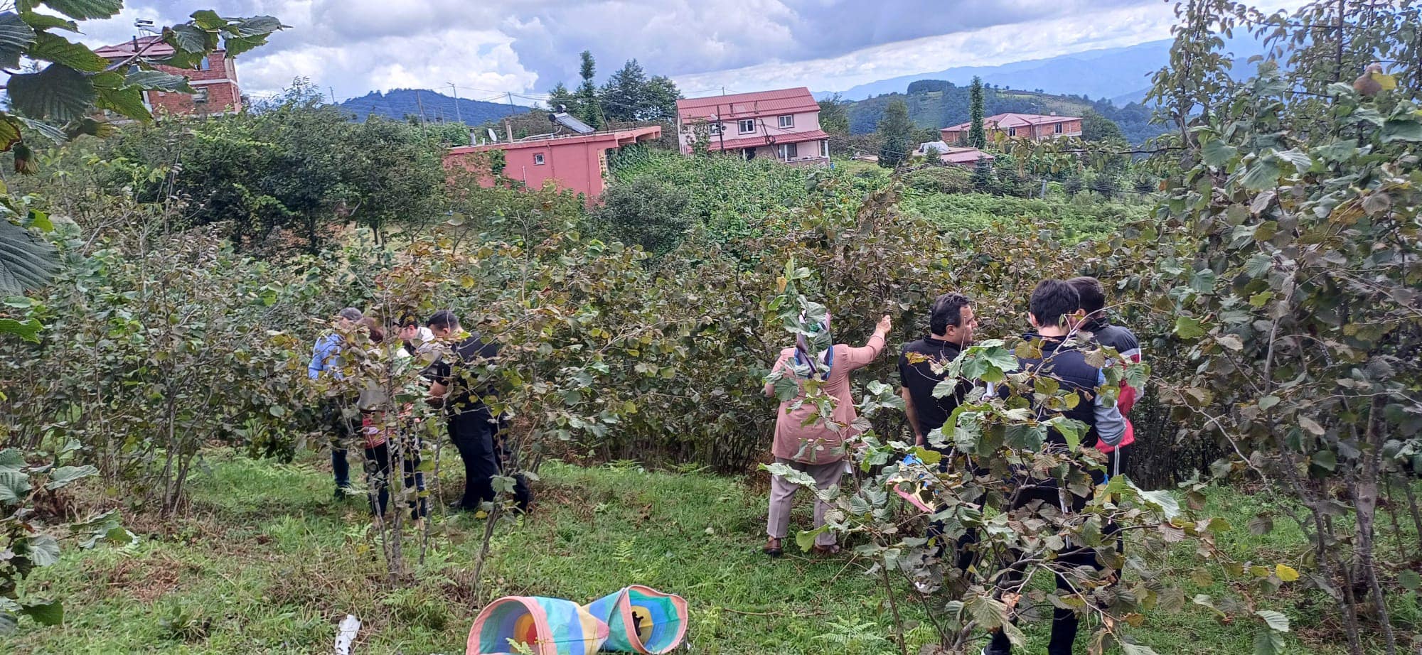 TÜRK FINDIĞI DÜNYA ÇAPINDA KALİTENİN SEMBOLÜ OLDU