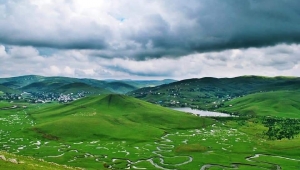 Giresun ve Ordu'ya talih kuşu  kondu