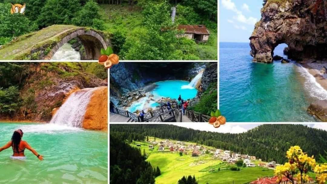 Giresun ve Ordu'ya talih kuşu kondu