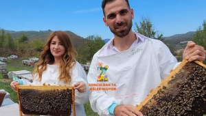 Kestane balının anavatanı Zonguldak