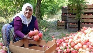 Dünyanın en iyi narı nerede yetişir diye sorarsanız , Zivzik Köyünde yetişir derler