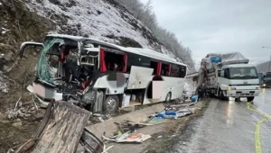 İstanbul'dan Giresun'a giden yolcu otobüsü kaza yaptı, otobüs şoförü olay yerinde hayatını kaybetti, 16 yolcu da yaralandı