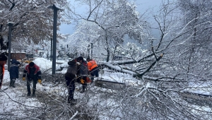 ORDU’DA ŞİDDETLİ KAR, AĞAÇLARA ZARAR VERDİ