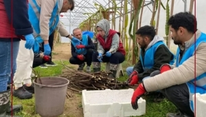 Ordu’da yükümlüleri sosyal hayata kazandırmak ve meslek edinmelerini sağlamak amacıyla tarımsal eğitimler devam ediyor 