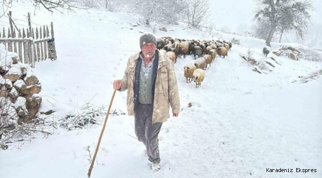 Hayvanlarını otlatmak için meraya çıkan çobanlara kar sürprizi