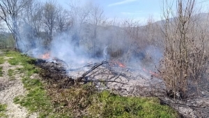 ORDU'DA BAHÇE VE ANIZ YANGINLARI ARTTI 