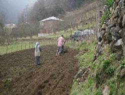 Ordulular Tarım, Orman Ve Balıkçılığa Eğilimli