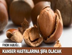 Fındık kabuğu şifa olacak